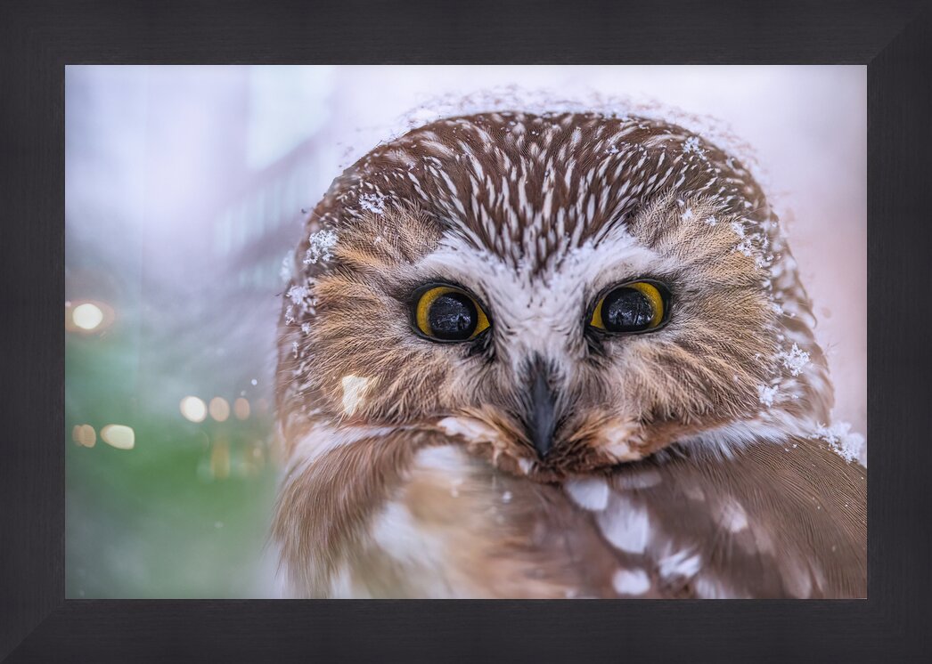 Impression de cadre personnalisé