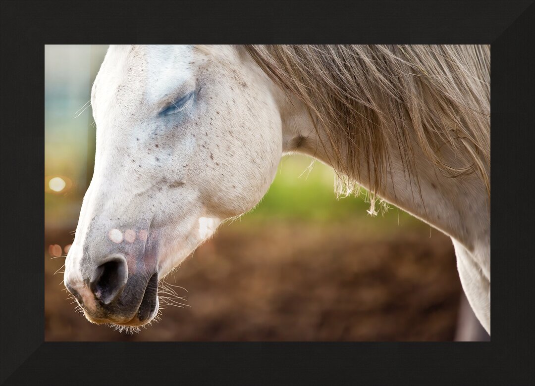 Impression de cadre personnalisé
