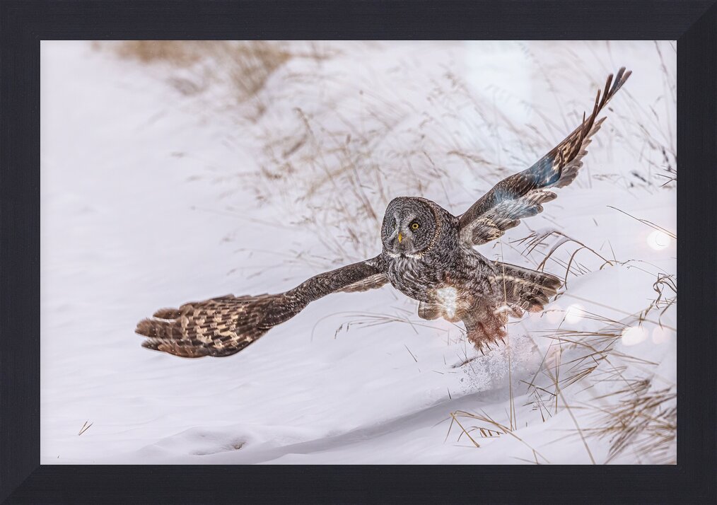 Impression de cadre personnalisé