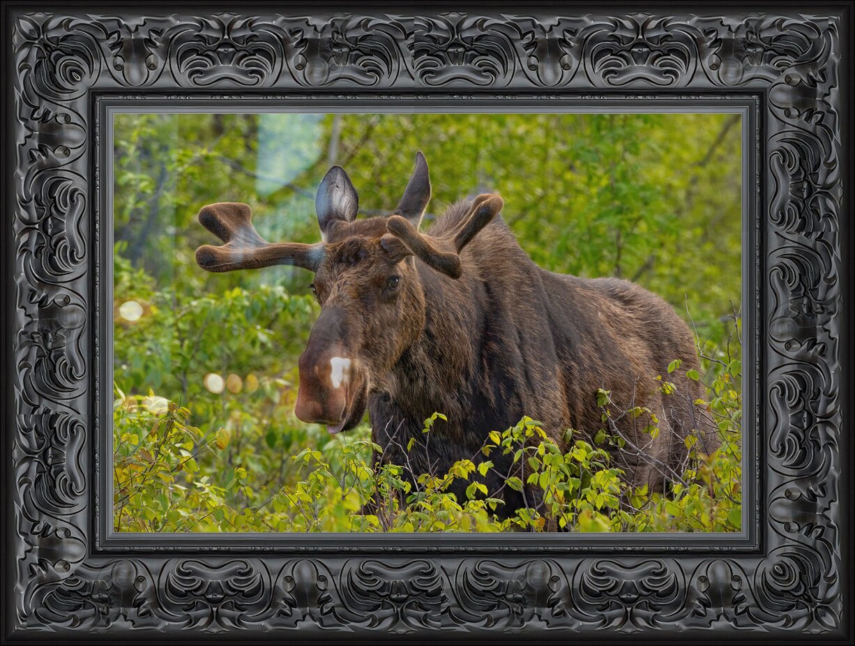 Impression de cadre personnalisé