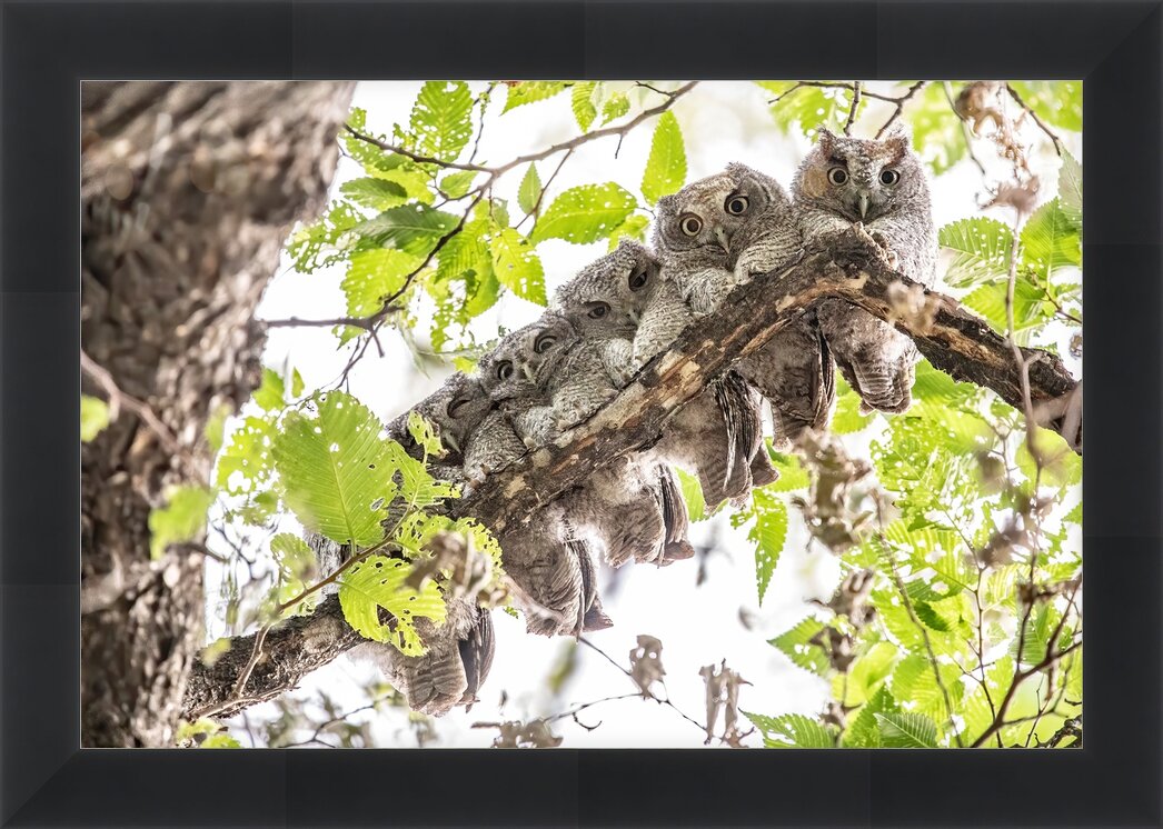 Impression de cadre personnalisé