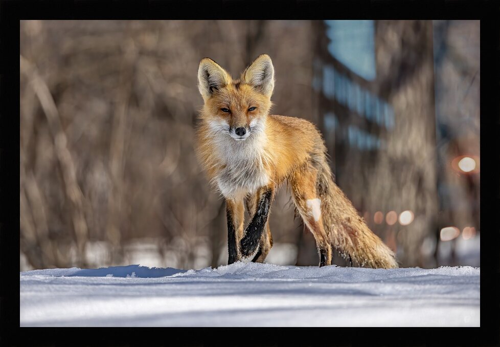 Impression de cadre personnalisé