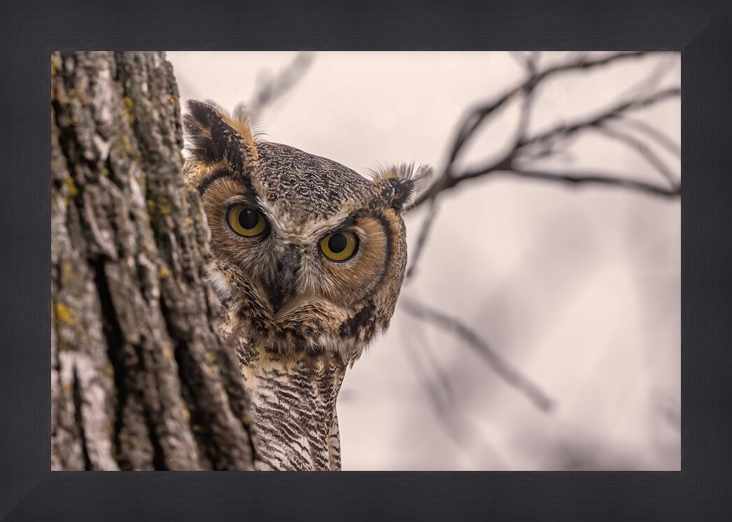 Impression de cadre personnalisé