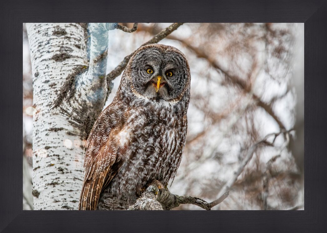 Impression de cadre personnalisé