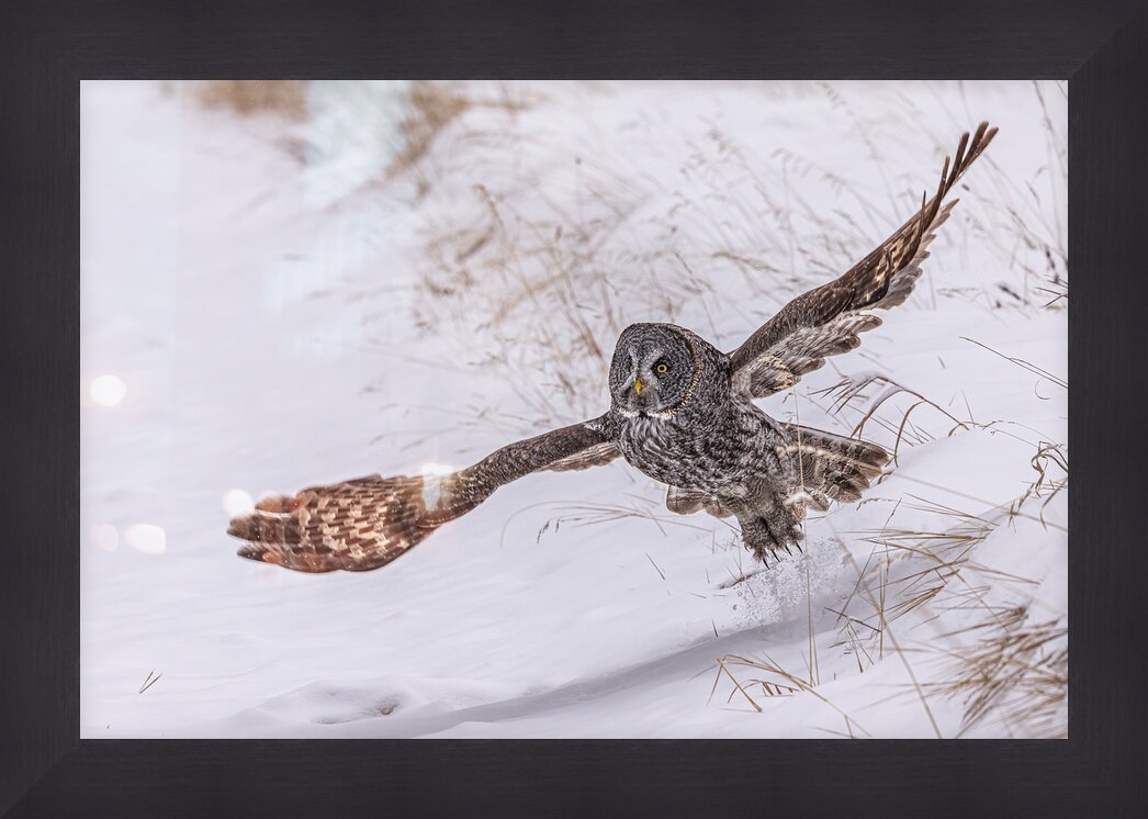 Impression de cadre personnalisé