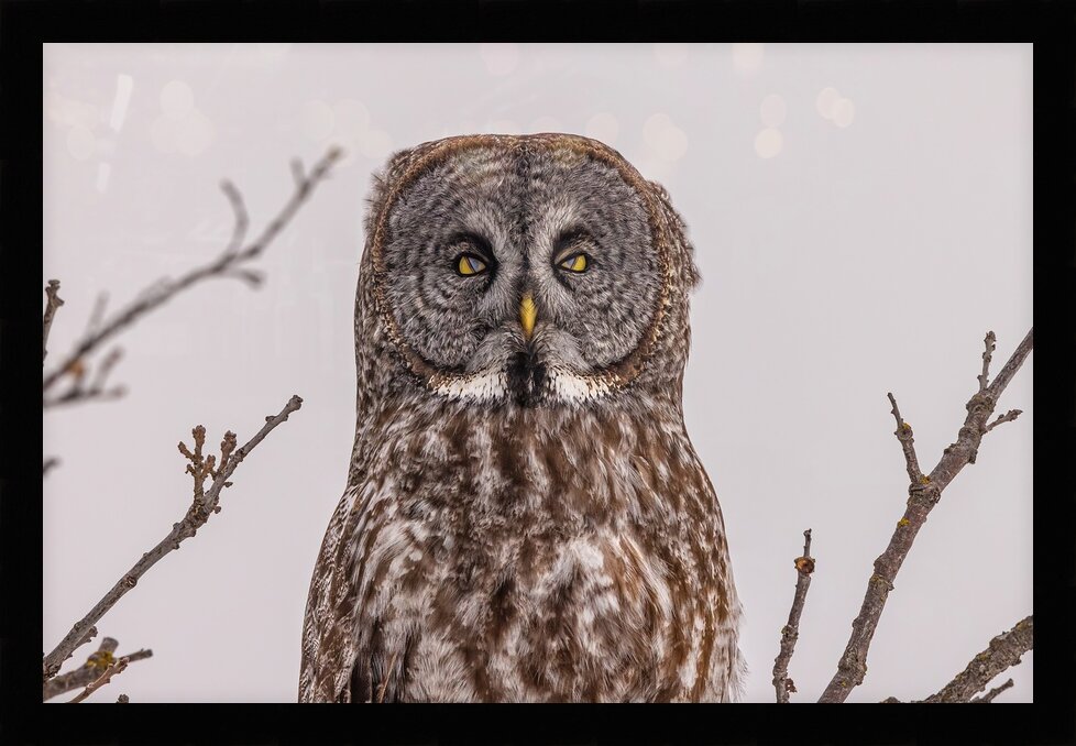 Impression de cadre personnalisé