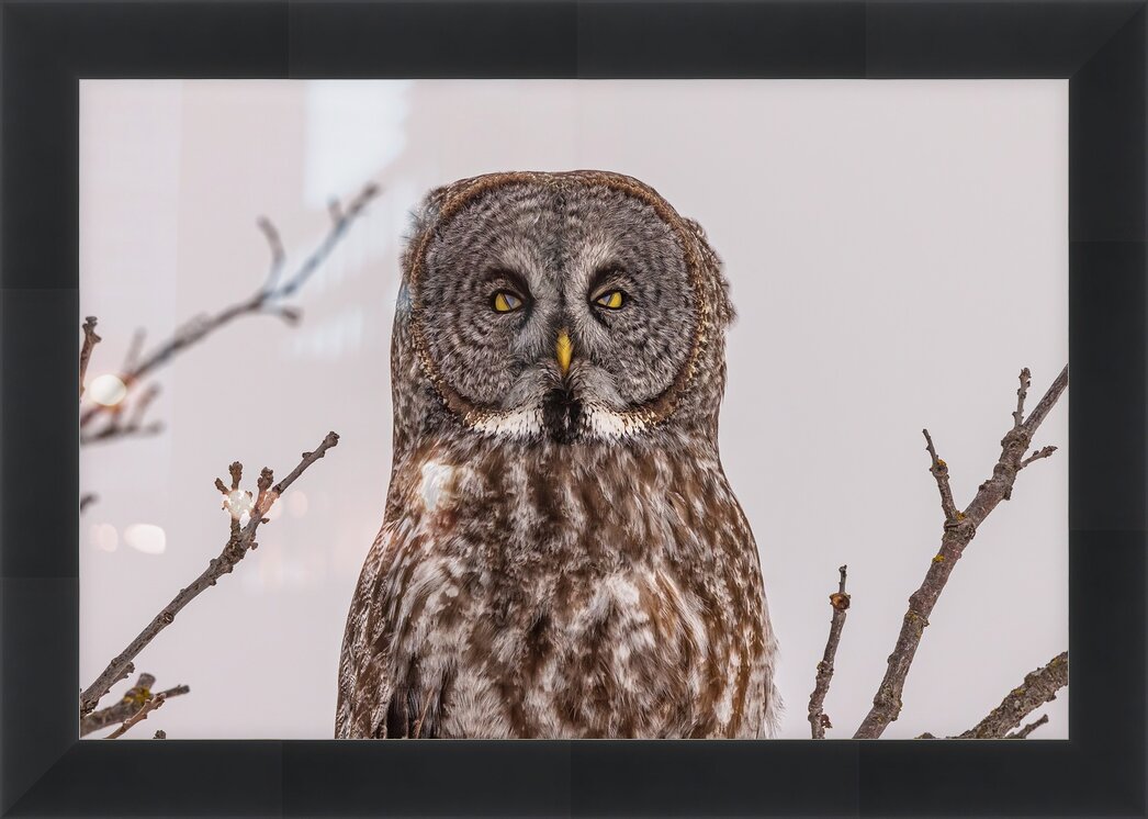 Impression de cadre personnalisé