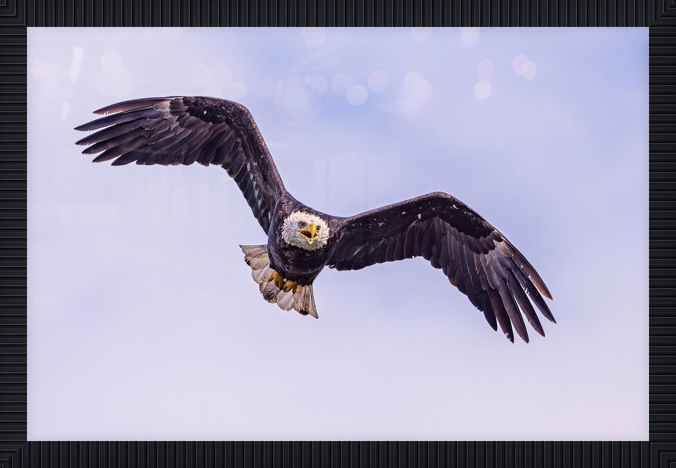 Impression de cadre personnalisé