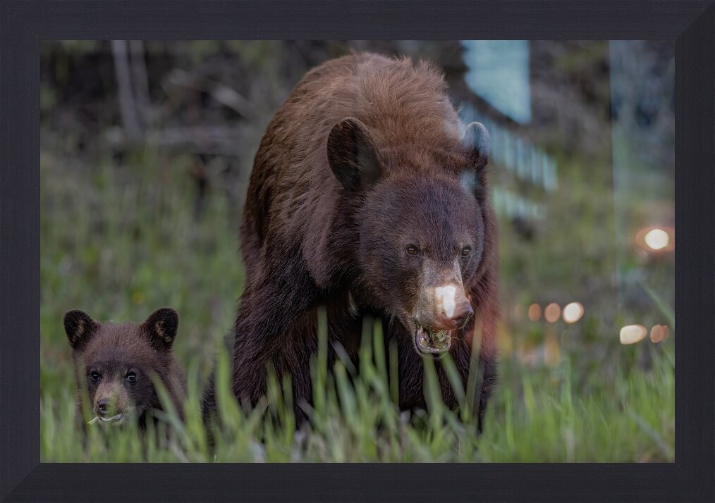 Impression de cadre personnalisé