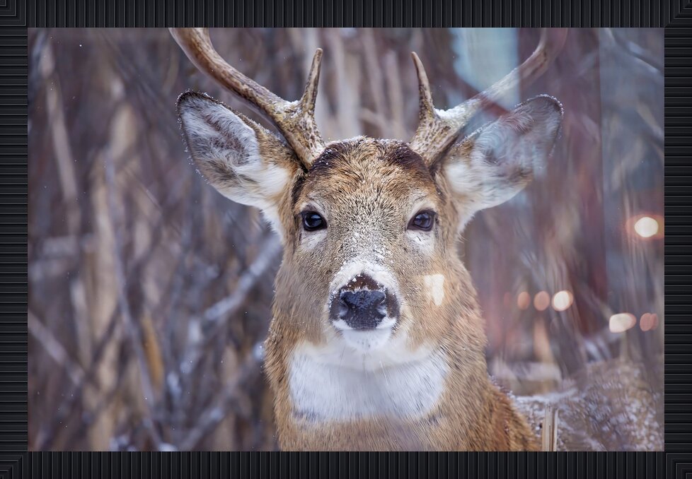 Impression de cadre personnalisé