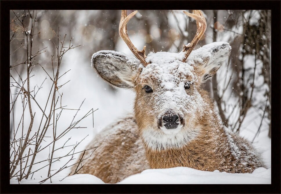 Impression de cadre personnalisé