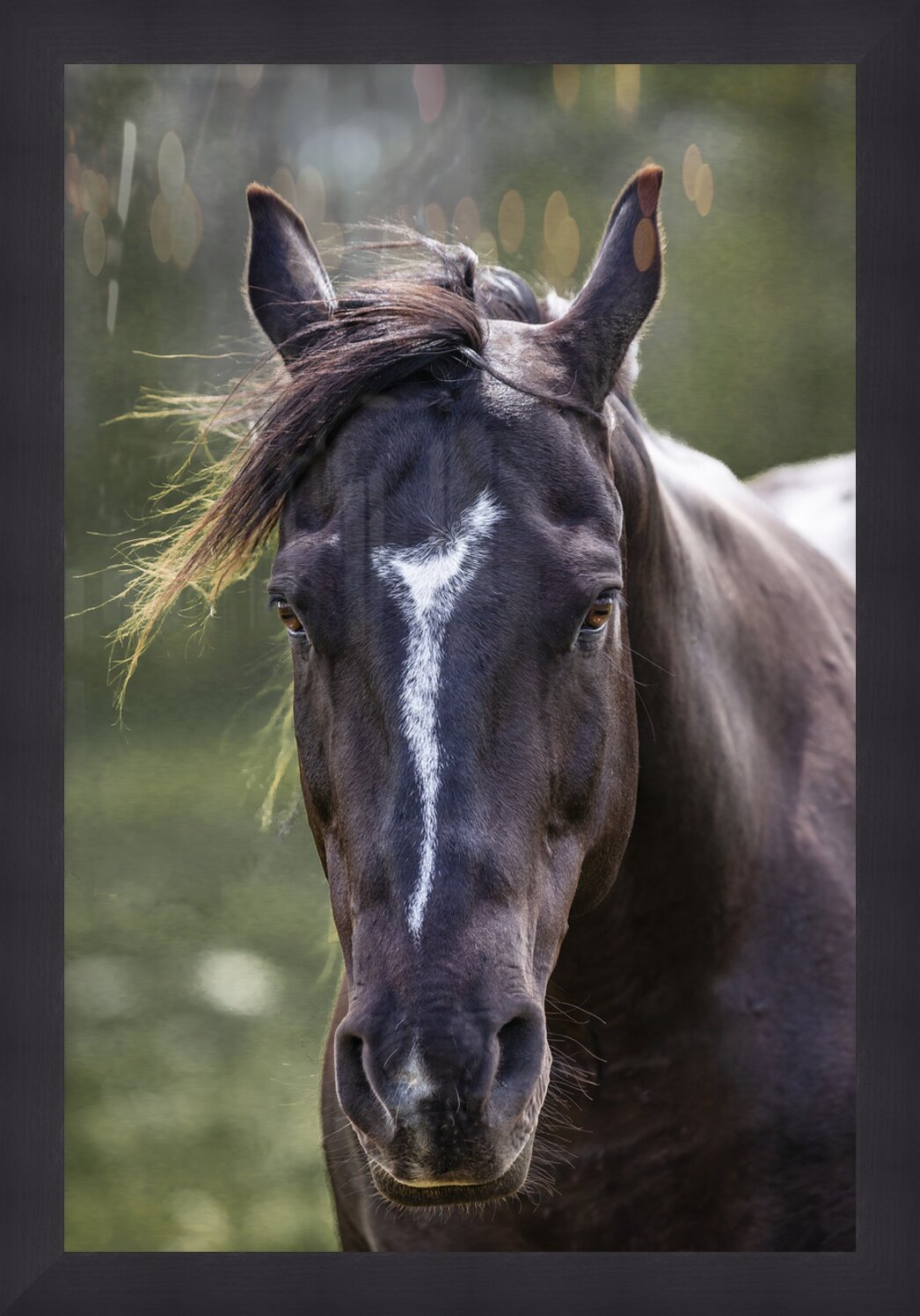 Impression de cadre personnalisé