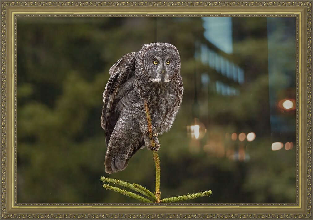 Impression de cadre personnalisé