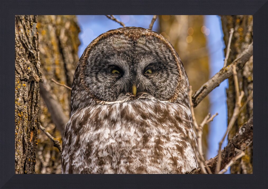 Impression de cadre personnalisé