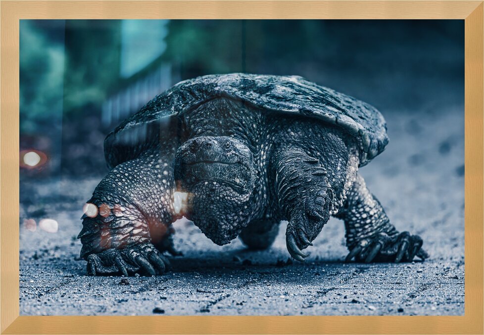 Impression de cadre personnalisé