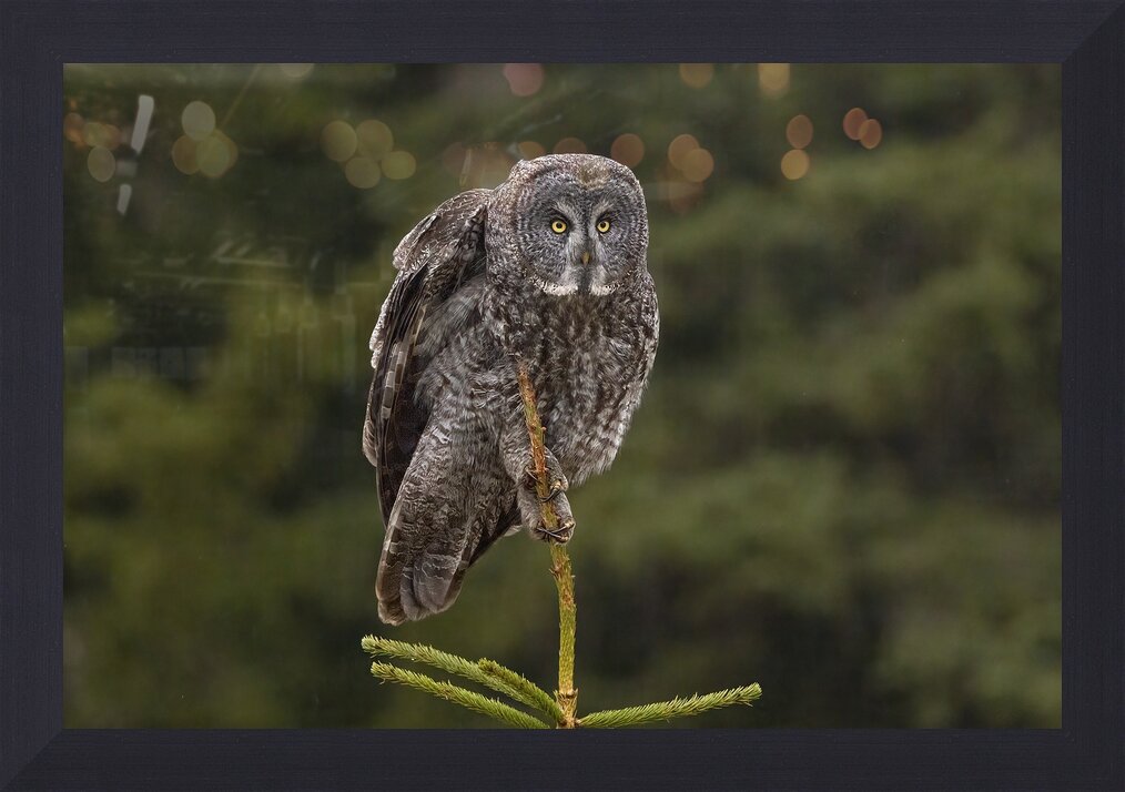 Impression de cadre personnalisé
