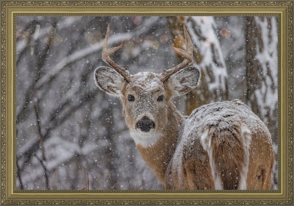 Impression de cadre personnalisé