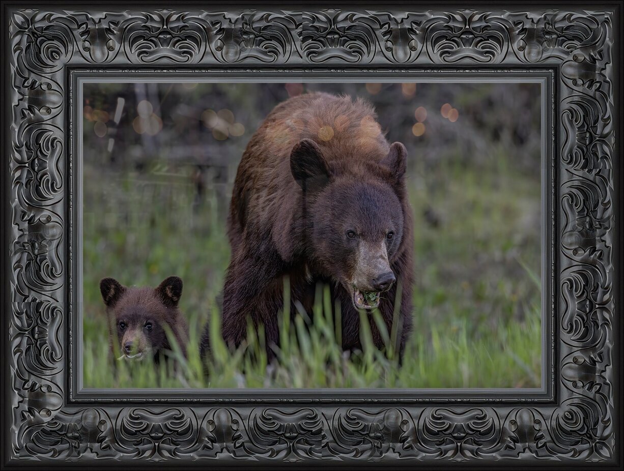 Impression de cadre personnalisé