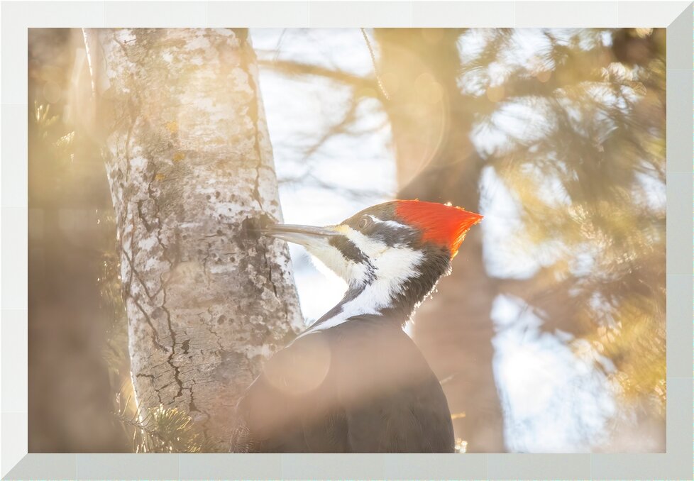 Impression de cadre personnalisé