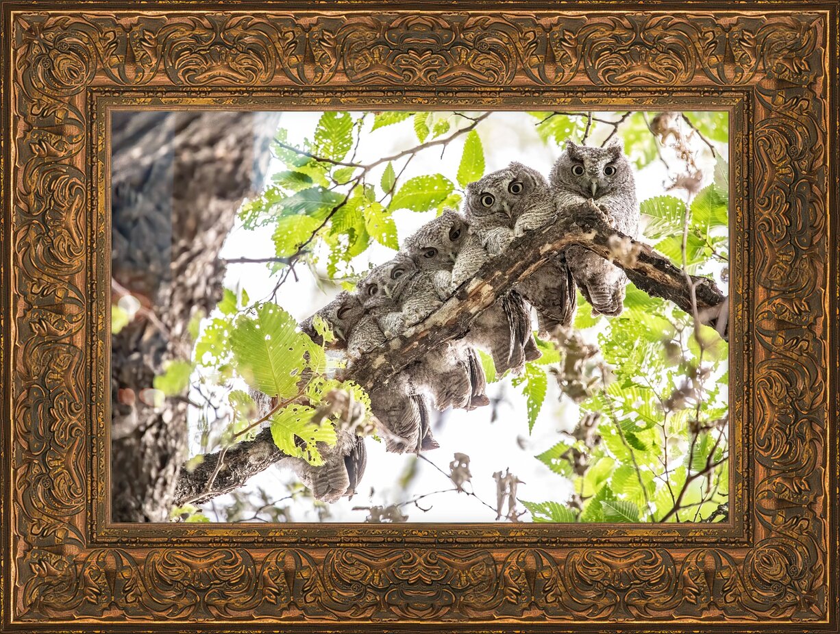 Impression de cadre personnalisé