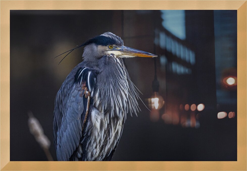 Impression de cadre personnalisé