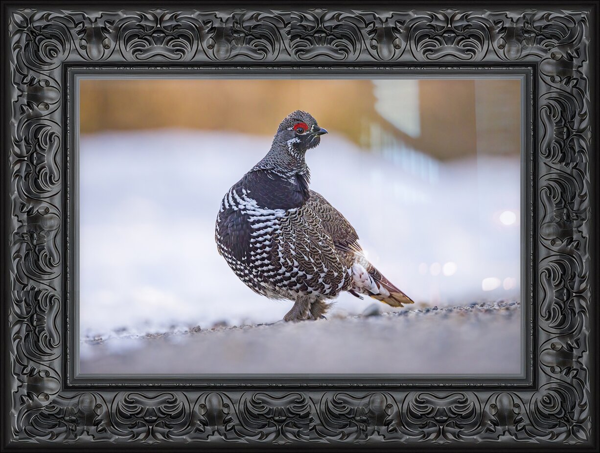 Impression de cadre personnalisé