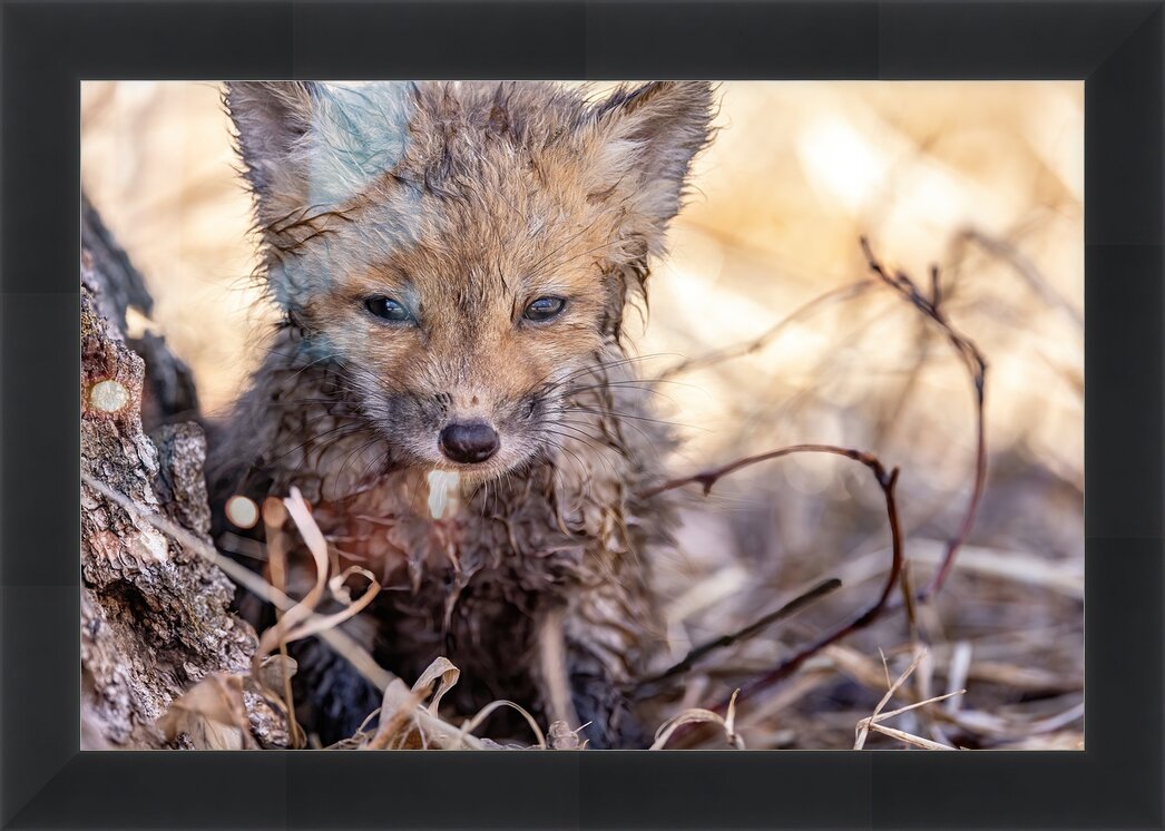 Impression de cadre personnalisé