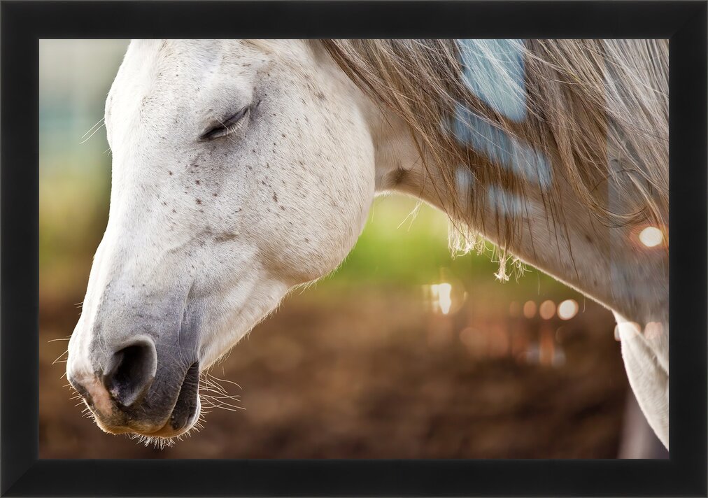 Impression de cadre personnalisé