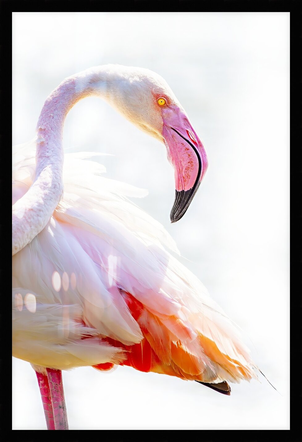 Impression de cadre personnalisé