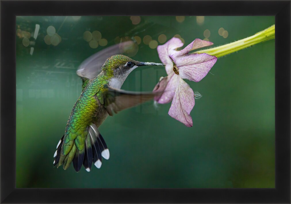 Impression de cadre personnalisé