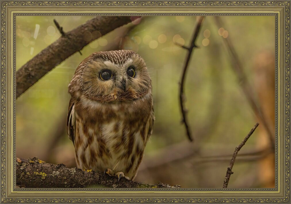 Impression de cadre personnalisé