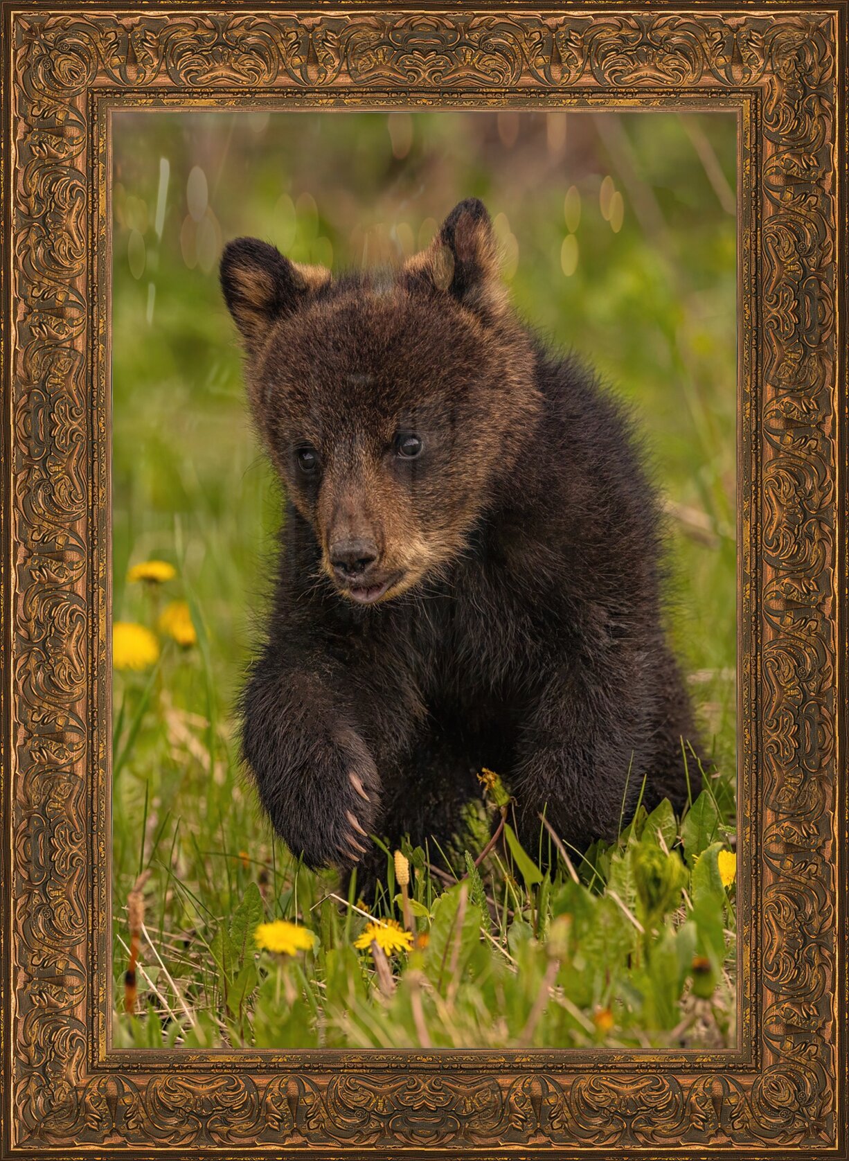 Impression de cadre personnalisé