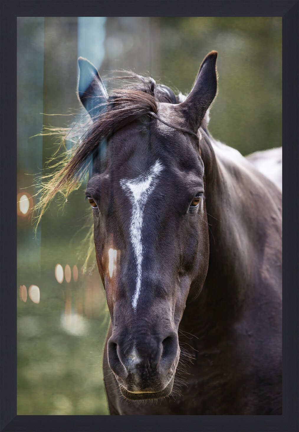 Impression de cadre personnalisé