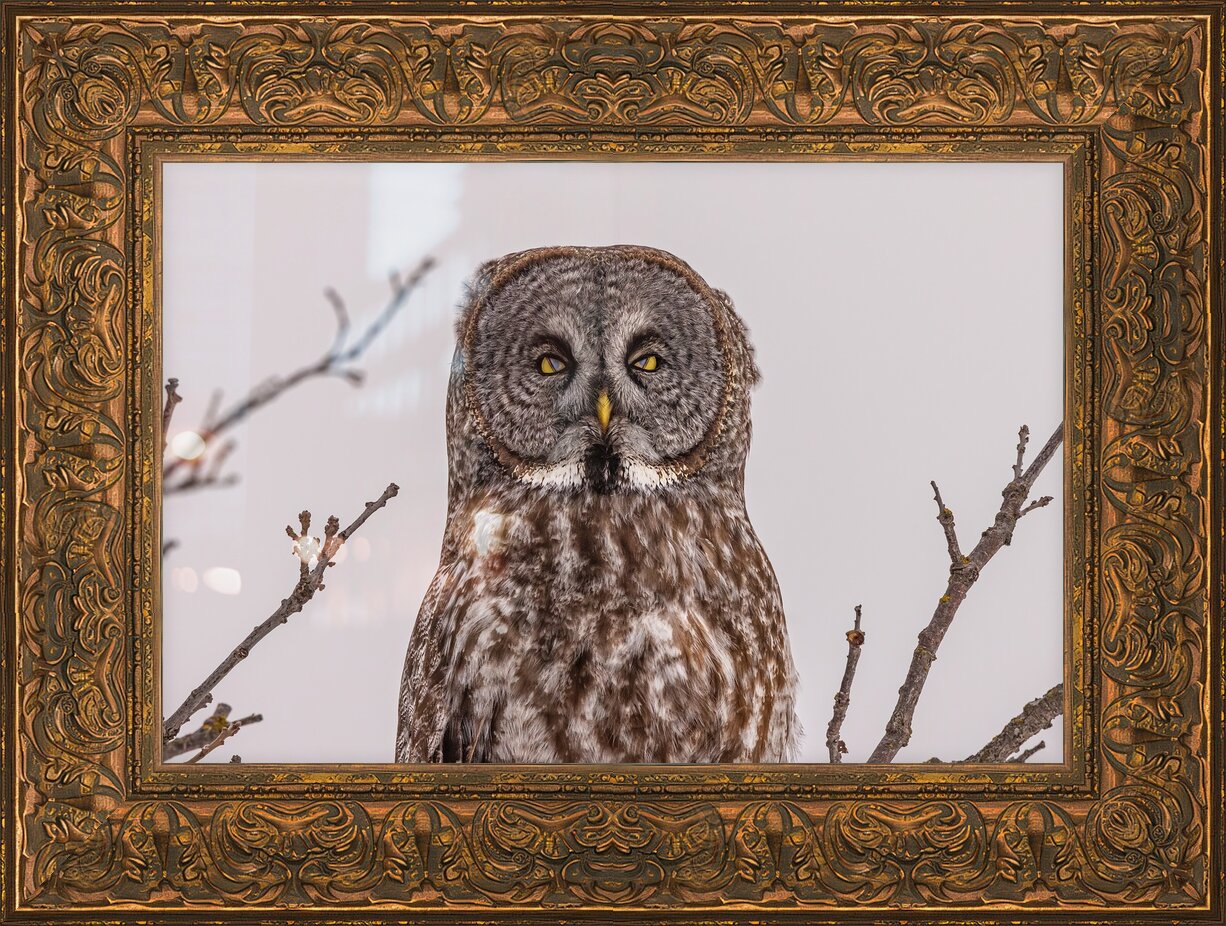 Impression de cadre personnalisé