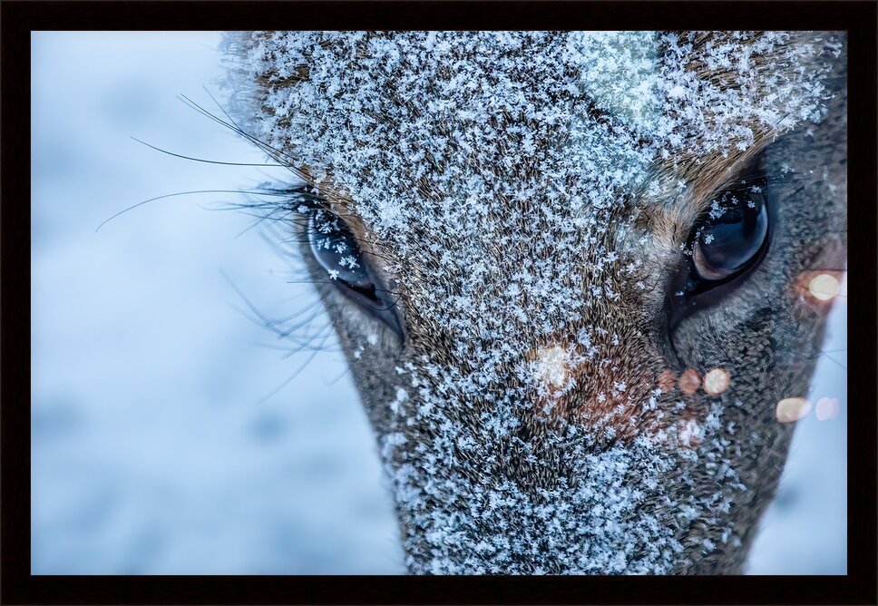 Impression de cadre personnalisé
