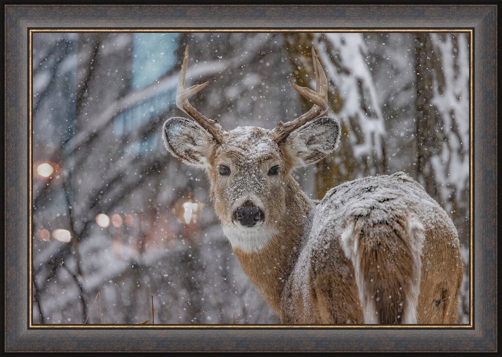Impression de cadre personnalisé