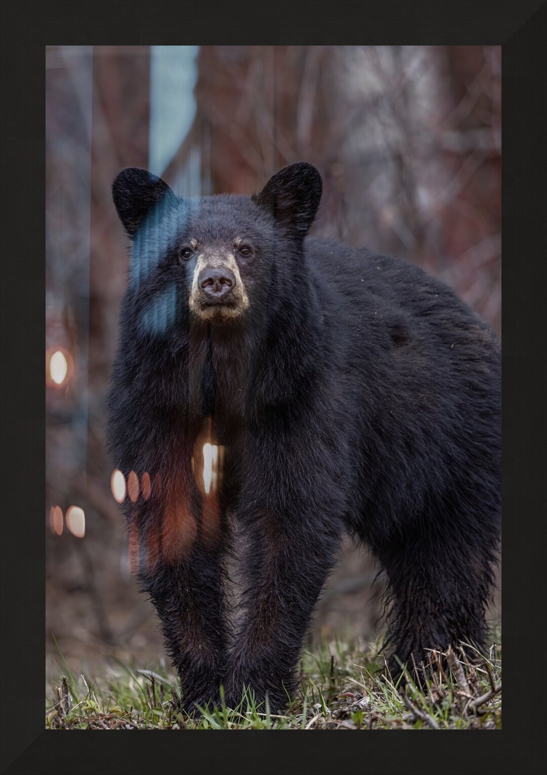Impression de cadre personnalisé
