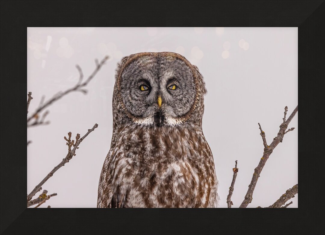 Impression de cadre personnalisé