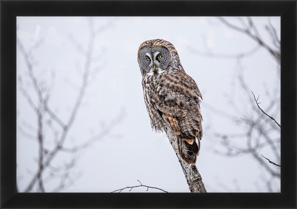 Impression de cadre personnalisé