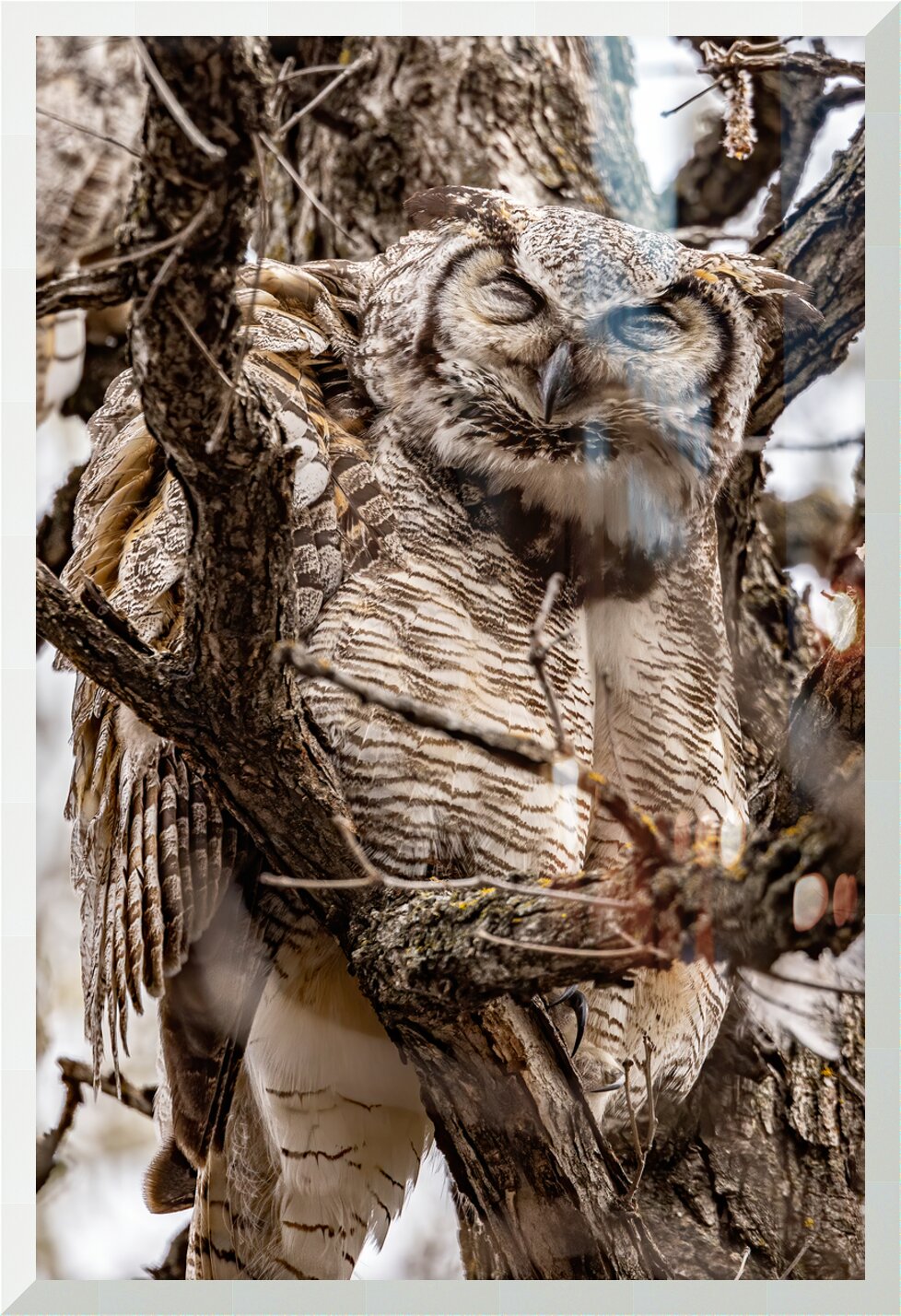 Impression de cadre personnalisé