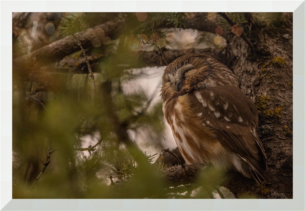 Impression de cadre personnalisé
