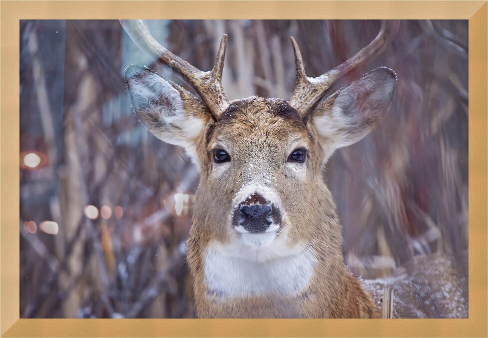 Impression de cadre personnalisé