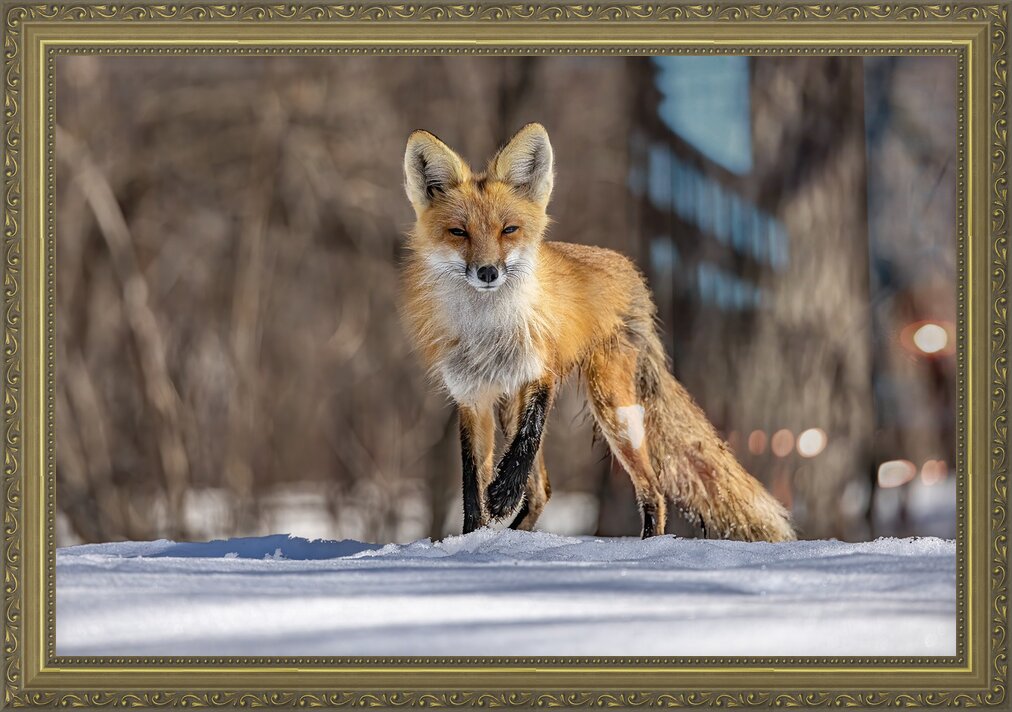 Impression de cadre personnalisé
