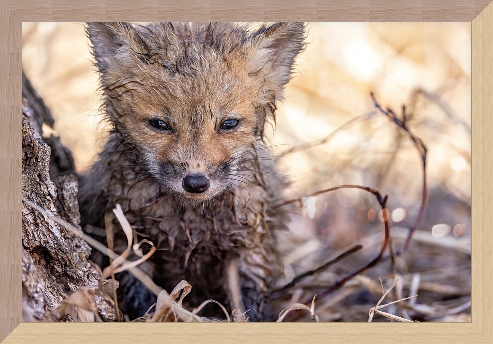 Impression de cadre personnalisé