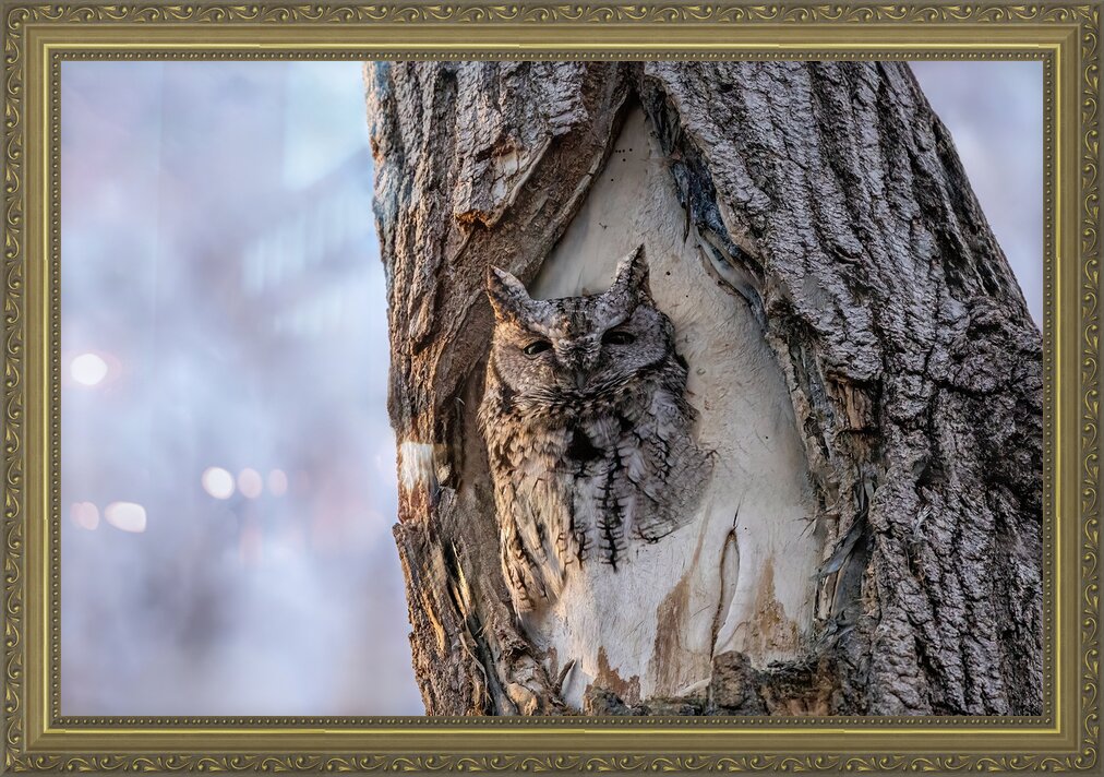 Impression de cadre personnalisé