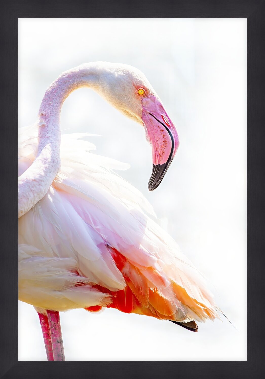 Impression de cadre personnalisé