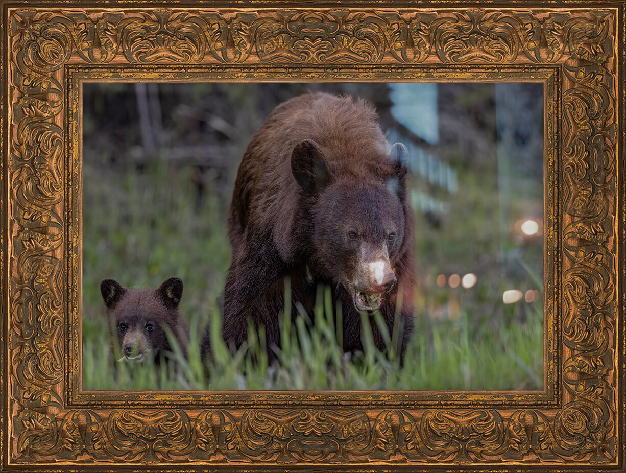 Impression de cadre personnalisé