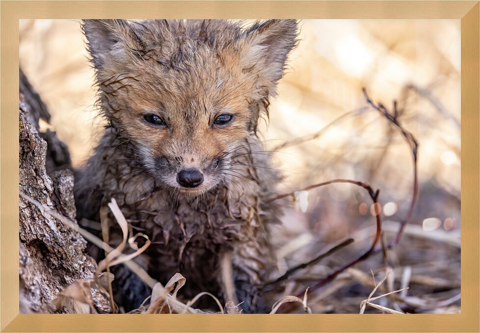 Impression de cadre personnalisé
