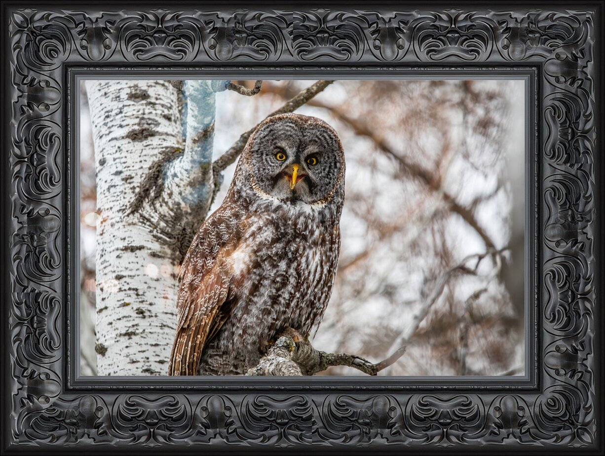 Impression de cadre personnalisé