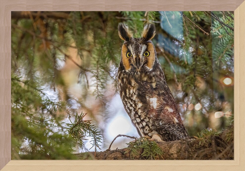 Impression de cadre personnalisé